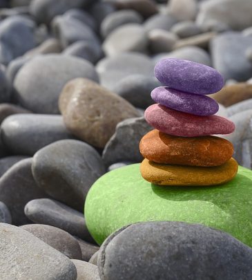Pautas para Crecer